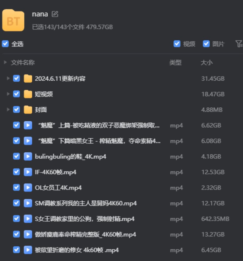 娜娜 无码4K合集 磁力【86V – 479.57G】插图